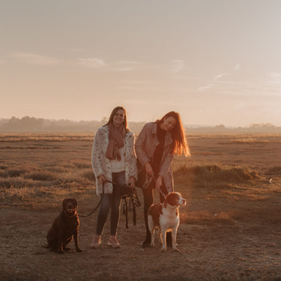 Séance famille mère fille chiens labrador et épagneul golden hour